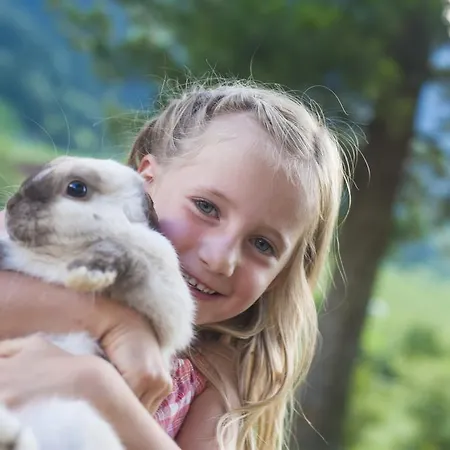Silberkrug Pensjonat Dorfgastein