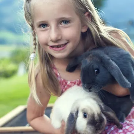 Silberkrug Dorfgastein