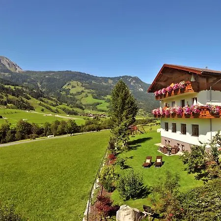 Silberkrug Guest house Dorfgastein