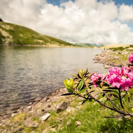 Gasthof Silberkrug 3*