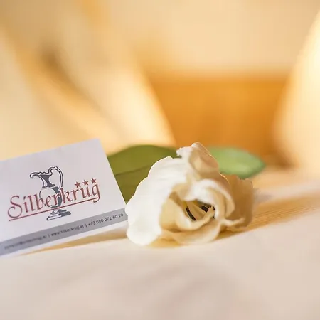 Gæstehus Silberkrug Dorfgastein