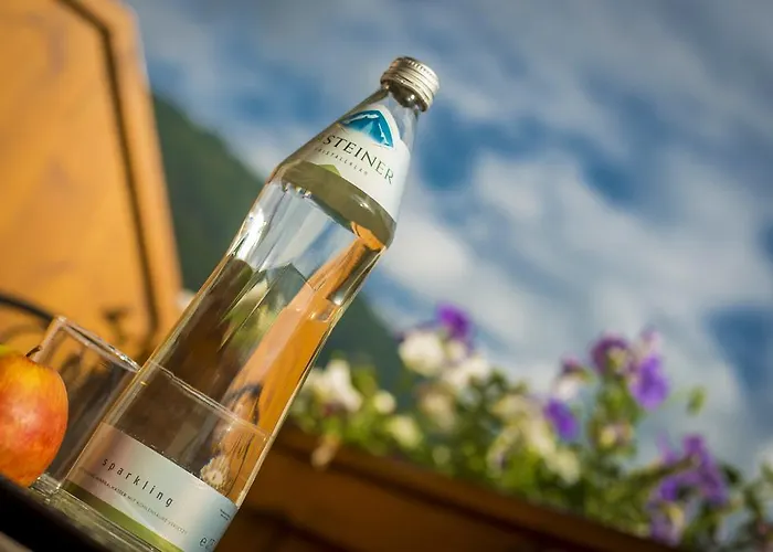 Konukevi Silberkrug Dorfgastein