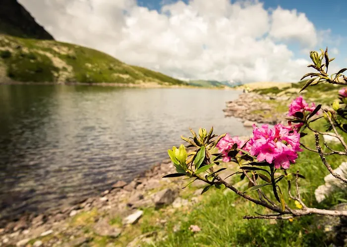 Konukevi Silberkrug 3*
