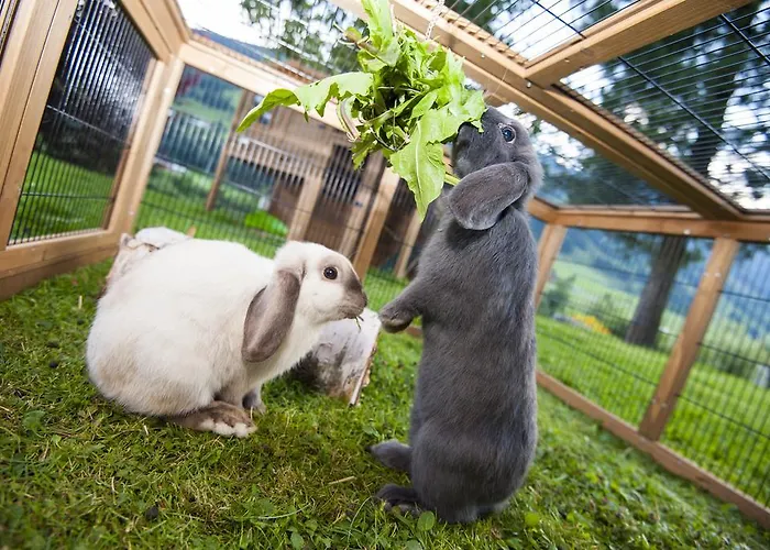 Konukevi Silberkrug Dorfgastein